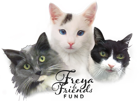 Freya and Friends