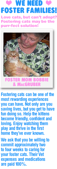 We Need Foster Families!