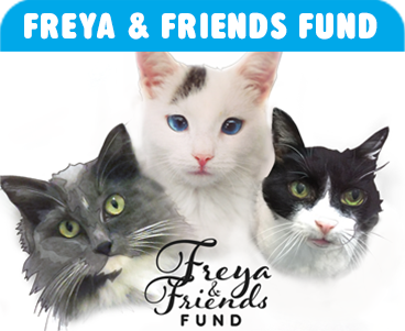 Freya and Friends Fund
