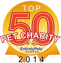 Top pet charities 2014